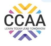 College Career Access Aspirations
